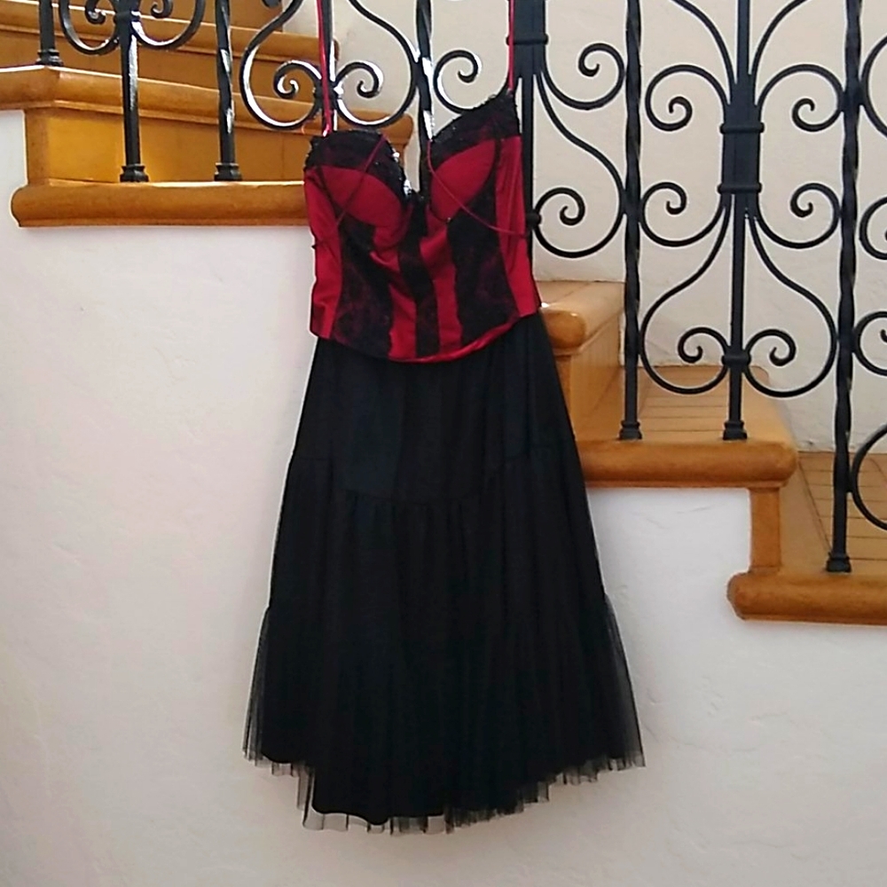 VERY UNIQUE Moulin Rouge-style Sue Wong dress